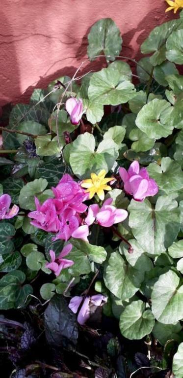 Gli Ulivi Bed & Breakfast *